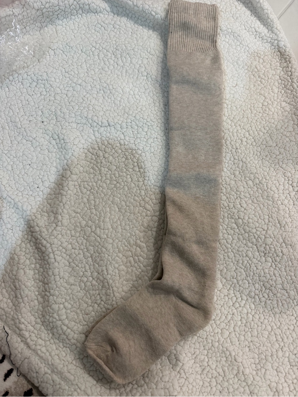 Women's Over-the-Calf Dress Sock in Light Taupe